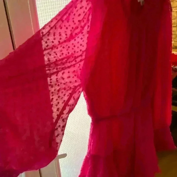 Allison Women's Mini Dress Hot Pink Swiss dot long sleeve ruffles sheer large - Picture 14 of 16
